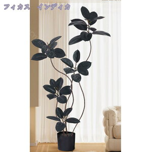 2000~OFFN[| lHϗtA ^ tFCNO[ lHϗtA | lHϗtA lH tFCNO[ ϗtA t ^ϗt ϗtA tFCNO[ ȒPb炸 