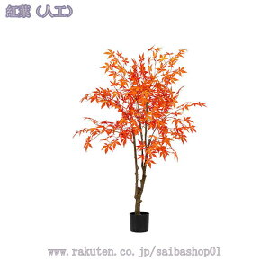 2000~OFFN[| tFCNO[ lHϗt i` u ~͐A lHϗtA tFCNO[ bȂ sṽz[  Lb` ItBX tFCNO[  v