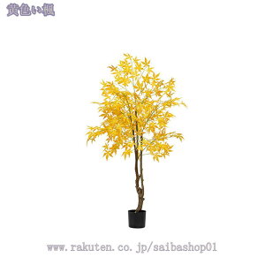 2000~OFFN[| lHϗtA ^ { 傫  lH A CeA JX JƏj  rO tFCNO[ sv p[e[V A 