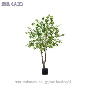 lHϗtA ^ { 傫  lH A CeA JX JƏj  rO tFCNO[ sv p[e[V A ͂Ȃ ~͐A 