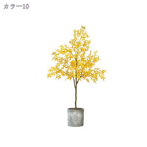 tFCNO[ lHϗtA t ^ ϗA ^ϗt Vv p ItBX  CeA  j tFCNO[ ϗtA tFCNO[ CeA 