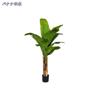 1000~OFFN[| tFCNO[ lHϗtA ϗt tFCN   ^ ȒP sv Q쏜sv  ƒ 悯oRj[  Iȑ z̃MtgɍœK t