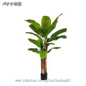 lHϗtA AȎ}t 傫 lH tFCNO[ ϗt CeA   ϗtA CeAO[ lHϗtA ͂Ȃ JX Vzj Iȑ 傫