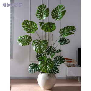 2000~OFFN[| Xe lHϗtA ^  tFCNO[  rO ϗtA ϗt CeA tFCNϗtA tFCNO[ lHϗtA sv ͂Ȃ