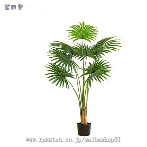 1000~OFFN[| lHϗtA ^ tFCNO[ K̖ lHϗtA lHϗt tFCNϗtA t  ItBX J JXj ȒP sv Q̐SzȂ