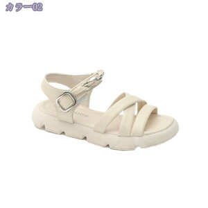 500~OFFN[| xr[ T_ ̎q j̎q V[Y Ԃ C t  q T_ X|[cV[Y LbY C r[`T_ K[Y {[CY V[Y xr[ C tH[} y