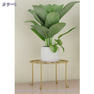 3g ACAt[X^h CeA K[fjObN A t[X^h ̐A hK S AؔX^h fR[VbN AؔI ԑ Aؔ Pw a 23cm 