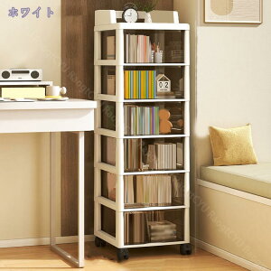 Ԏ[ X`FXg [{bNX [P[X X vX`bN LX^[t 3i 4i o NA{bNX  27cm 87cm N[[bg Lb` ʏ @ 䏊 Ra