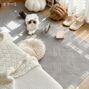 1000~OFFN[| O RbgLg  100 ԂɗD  sN u[ LeBO O J[ybg LgO k g[Ή V q vC}bg rO