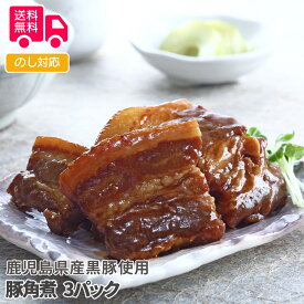 鹿児島県産黒豚使用 豚角煮【送料無料（代引不可）】