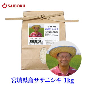  TTjVL 1kg 600983 {錧Y 2025NY   ʔ _ ڌ_  ʍ͔|_Y Mtg Ε Ε j  oY Ԃ  蕨 i a z 