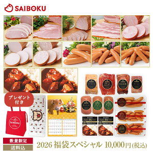 TC{N 2026  yXyVz 10,000~(ō) q؃J_[^IۗobO v[gt@300074n x[R ECi[ tNtg \[Z[W ē  񂹃O 