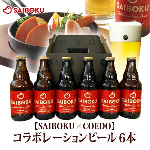 ySAIBOKU×COEDOzR{[Vr[@6{iʁj 650893 TC{N RGhu[ I[hu Mtg Ε Ε j j oY Ԃ 蕨 i Ntgr[ nr