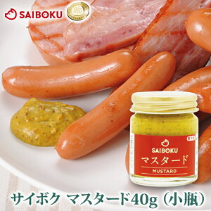 TC{N }X^[h 40g r  600107 I[hu Mtg hV̓ j j  oY Ԃ 蕨 i 炵 hCc _   \[Z[W ECi[ 