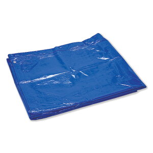 �u���[�V�[�g�@3600×5400mm�@��3000