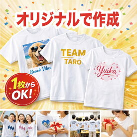 オリジナルTシャツ 作成 1枚から 名入れ 写真プリント 前面プリント 背面プリント チームTシャツ クラスTシャツ 記念品 プレゼント 部活 イベントTシャツ プレゼント TシャツオリジナルTシャツ