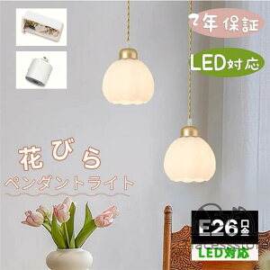 y_gCg Ɩ Ԃт k KX _CjO  1 E26 LEDΉ _ Vv fUC Ɩ VƖ VF[hv  rO[ Q ʏ  Lb`