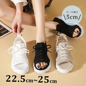 X|[cbVT_ vXgbv fB[X V[Y Xj[J[ r[`T_ y y ʋC r EH[LOV[Y wlC Vv JWA ubN z