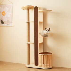 Lbg^[ ؐ ^L X u FD 킢  L^[ VjA ^Lp Lbg Lbgc[ 173cm lR^[ 艺肵₷ ܂Ƃ|[ qL yb
