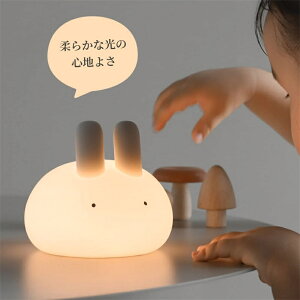 iCgCg LED Cg  Cg 킢 ԐڏƖ 铔   USB[d Q 킢  v[g qǂp Ԃ oYj Mtg iCgCg