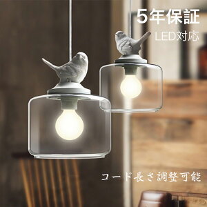 y5Nۏ؁zyr[Ttz y_gCg k KX  _CjO  1 E26 LEDΉ ACA _ Vv fUC VƖ Cg  rO Q ʏ 