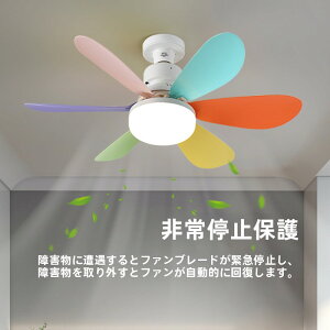 y5Nۏ؁zV[Ot@ LED @ t@tƖ V[OCg E26Ή 啗 É F 3iK px  Ɩ ȃGl ^ 铔[h Rt