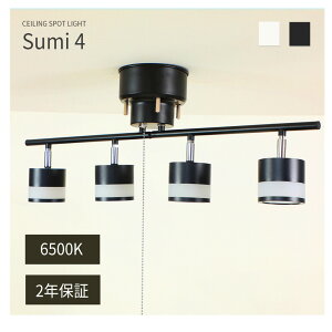 y2Nۏ؁zVita V[OCg 4 F 6500K LEDd V[O X|bgCg 6 8 10  k rO V _CjO Ɩ Ɩ a V t@CƋ Sumi4 iX