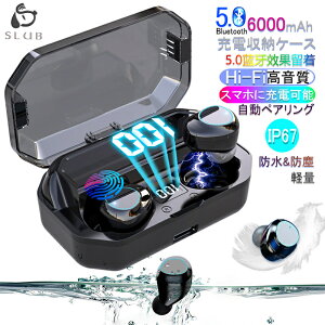 yԌGg[Ń|Cg10{zu[gD[X Cz[ CXCz ^b` [dP[Xt ȃCz Bluetooth5.0 mCYLZO @\ y iPhone Ή