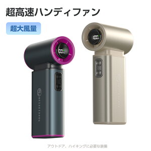 _ň10%OFF 4482~III^gѐ@ nfBt@ 莝@ 啗 8000mAh e 100iKʒ @\mYt H ΂ hC[ GA[|v u[type