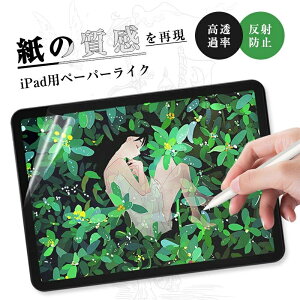 �y�[�p�[���C�N�t�B���� iPad�p �t���ی�t�B���� ���̂悤�ȕ`���S�n �m���O���A ���˖h�~ �ق���h�~ ���h�~ �ɔ��^�C�v �y���斀�Ւጸ iPad / iPad air / iPad mini�iA17 Pro�j8.3�C���` �Ή� ����
