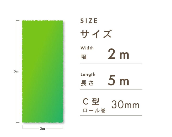 楽天市場】【24h限定!P5倍】daim 人工芝 C型 芝丈30mm 2m×5m リアル 