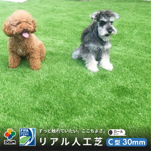 y12 P2{zdaim lH C^ ŏ30mm A diy AlH [ }bg [ Ő  l lH A hbO Ő}bg 30mm    x_ Ή K[fj