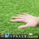 【12月 P2倍】daim 人工芝 細芝タイプ 芝丈35mm リアル diy リア...