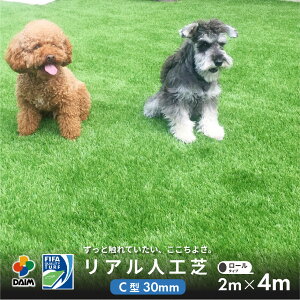 yN[|ōő3,000~OFFzdaim lH C^ ŏ30mm 2m×4m A diy AlH [ }bg [ Ő  l lH A hbO Ő}bg 30mm    x_ 