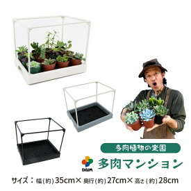 【カーメン君×daim コラボ】daim 多肉マンション 幅35cm×奥行き27cm×高さ28cm カーメンくん 園芸 多肉植物 観葉植物 寄せ植え 棚 苗 室内 温室ハウス 家庭用 温室 自宅 ミニ温室