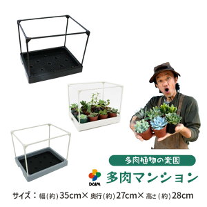 【カーメン君×daim コラボ】daim 多肉マンション 幅35cm×奥行き27cm×高さ28cm カーメンくん 園芸 多肉植物 観葉植物 寄せ植え 棚 苗 室内 温室ハウス 家庭用 温室 自宅 ミニ温室 温室セット 鉢用