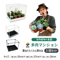 楽天市場】多肉 植物 ハウスの通販
