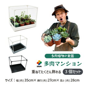 【カーメン君×daim コラボ】daim 多肉マンション 幅35cm×奥行き27cm×高さ28cm 3セット入り カーメンくん 園芸 多肉植物 観葉植物 寄せ植え 棚 苗 室内 温室ハウス 家庭用 温室 自宅