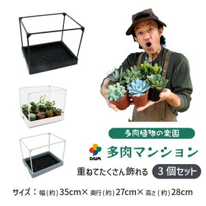 y24hIN[|ōő50%OFFzyJ[N×daim R{zdaim }V 35cm×s27cm×28cm 3Zbg J[ | A ϗtA 񂹐A I c  nEX