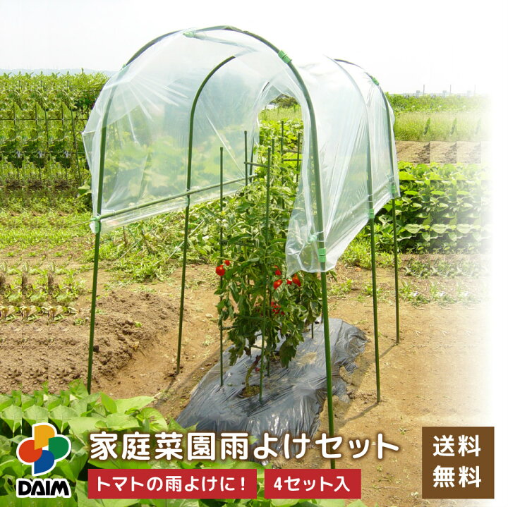 楽天市場 Daim 雨よけ 家庭菜園用 雨よけセット 4セット ビニールハウス 小型 雨除け 雨よけ トマト 家庭菜園 栽培 防虫 病気予防 ビニール 雨除けハウス 支柱 送料無料 メーカー直販 第一ビニール 株