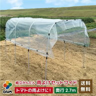 daim 組立かんたん雨よけセットワイド 奥行き 2.7m 雨よけ トマト ナス なす ぶどう 棚 畑 雨除け 透明シ…