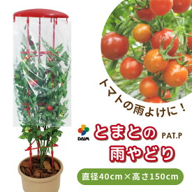 【エントリーでP5倍】【クーポンで最大3,000円OFF】daim 雨除け とまとの雨やどり 直径40cm×高さ150cm トマトの雨よけに 雨除けシート 雨よけ 透明シート 家庭菜園用 ビニールハウス 家庭用 小型 ビニール トマト 園芸 家庭菜園 パイプ 農業資材 野菜栽培