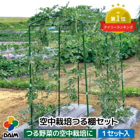 daim 空中栽培 つる棚セット 1セット入 つる野菜 家庭菜園 農業用 支柱 キュウリ ゴーヤ 小型カボチャ 野菜 つる 性 植物 果樹 つる性 園芸 用品 地這い栽培 園芸支柱 園芸用支柱 栽培棚 農業資材 省スペース キット セット 野菜作り アーチ支柱 ネット付 アーチ 送料無料