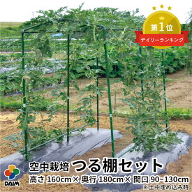 【12月 P2倍】daim 空中栽培 つる棚セット 1セット入 つる野菜 家庭菜園 農業用 支柱 第一ビニール キュウリ ゴーヤ 小型カボチャ スイカ 野菜 つる 性 植物 果樹 つる性 園芸 用品 地這い 園芸支柱 園芸用支柱 栽培棚 農業資材 送料無料