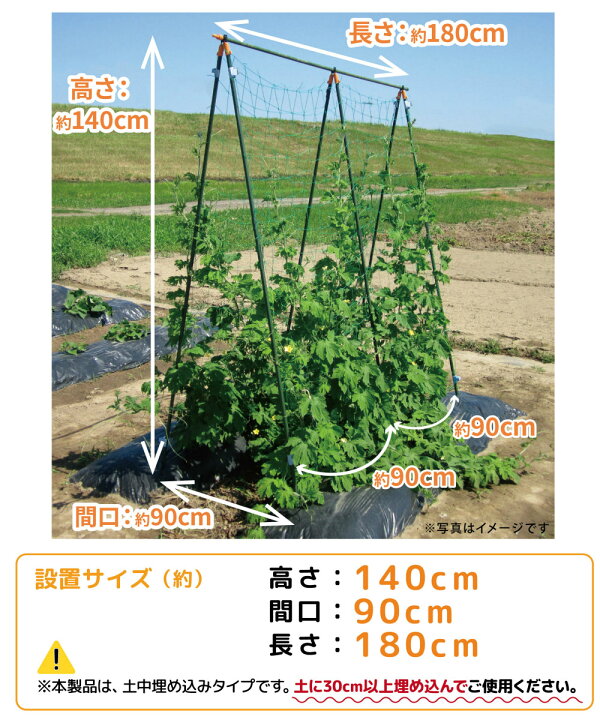 楽天市場 Daim 組み立てかんたん棚支柱セット 8セット入 設置サイズ 高さ 140cm 長さ 180cm 間口 90cm キュウリ ゴーヤ 合掌作り つる性植物 きゅうり棚 ネット 空中栽培 園芸 支柱 ジョイント ガーデニング 用品 家庭菜園 送料無料 メーカー直販 第一ビニール 株