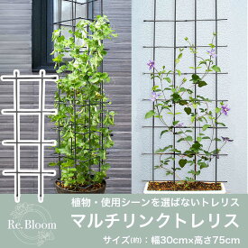 Re.Bloom マルチリンクトレリス 幅30cm 高さ75cm トレリス クレマチス ユリ つる性植物 おしゃれ プランター 野菜 タワー フェンス 支柱 園芸 ガーデニング 家庭菜園 DIY