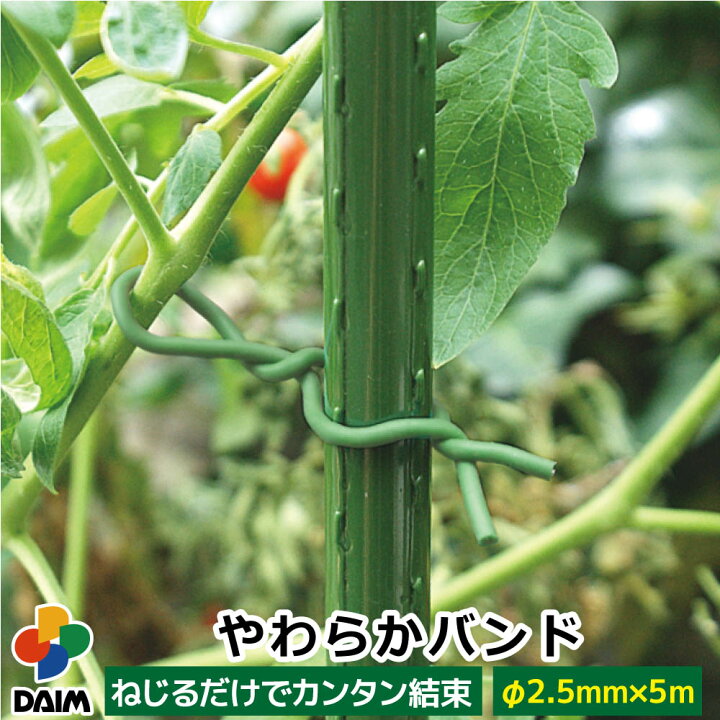 楽天市場 Daim やわらかバンド F2 5mm 5m バラ ばら 薔薇 花 ガーデニング バンド 家庭菜園 園芸 支柱 誘引 庭 トマト 野菜 傷つけない はさみ カット 結束 メーカー直販 第一ビニール 株