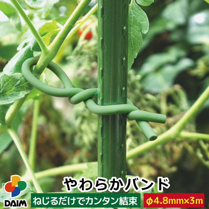 楽天市場 Daim やわらかバンド F4 8mm 3m バラ ばら 薔薇 花 ガーデニング バンド 家庭菜園 園芸 支柱 誘引 庭 トマト 野菜 傷つけない はさみ カット 結束 メーカー直販 第一ビニール 株