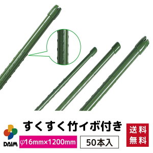 yGg[őSiP5{IzyN[|ōő2,500~OFFzdaim | C{t 50{ a16mm×1200mm | x | C{| | |px    |pi ƒ؉ g}g s[} 