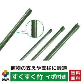 【クーポンで最大3,000円OFF】daim すくすく竹 イボ付 ケース販売品 園芸 支柱 竹 イボ竹 鋼管 園芸用支柱 野菜 畑 庭 園芸用品 家庭菜園 トマト ピーマン きゅうり キュウリ 花 園芸用 農業用 送料無料
